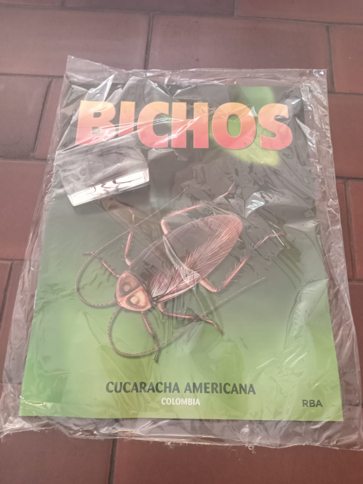 BICHOS 