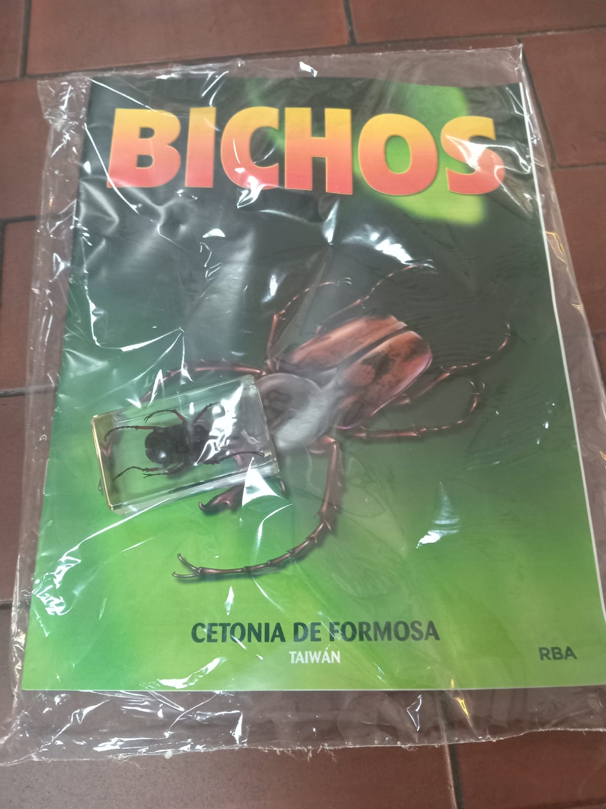 BICHOS 