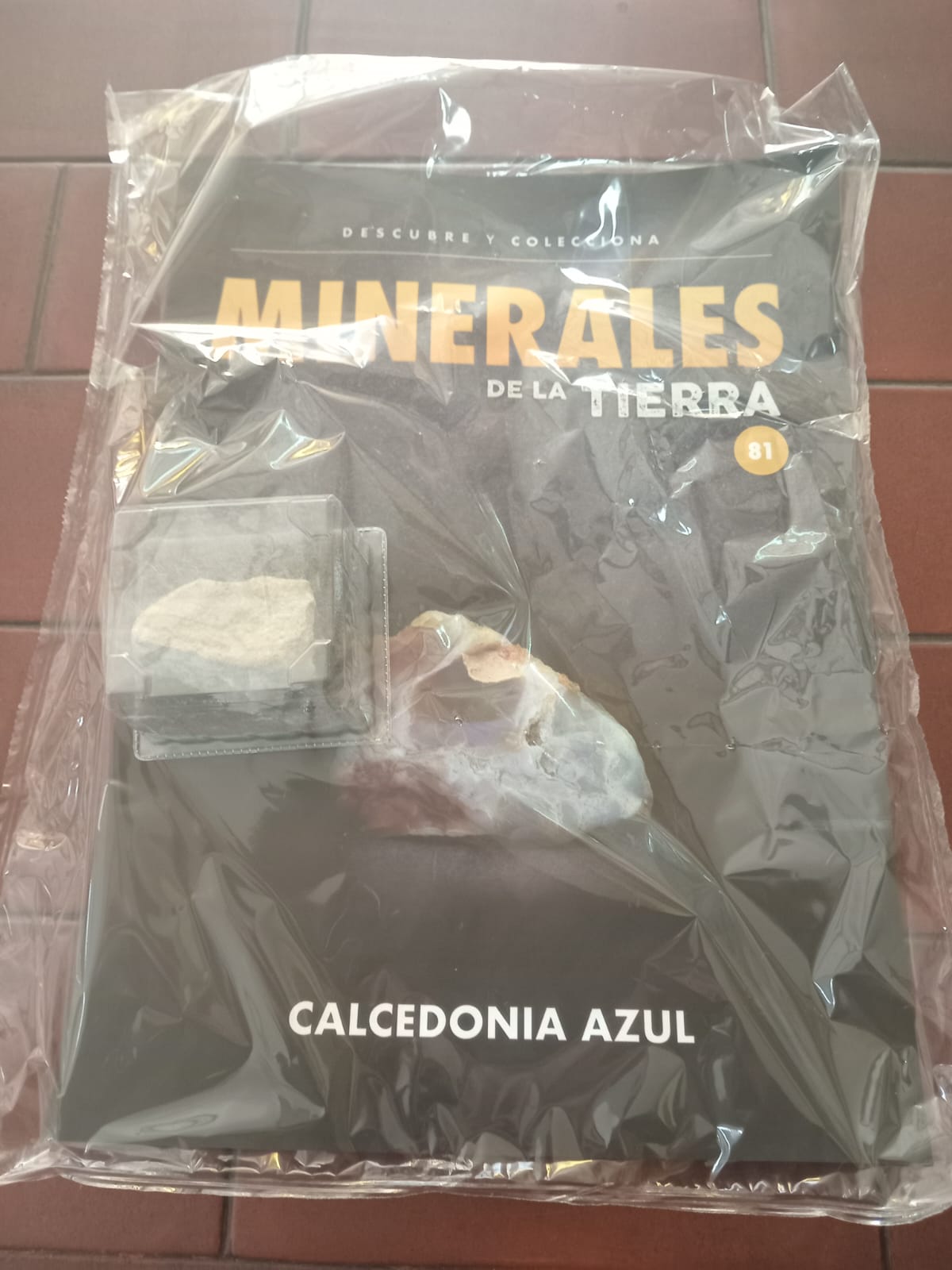 MINERALES 2024