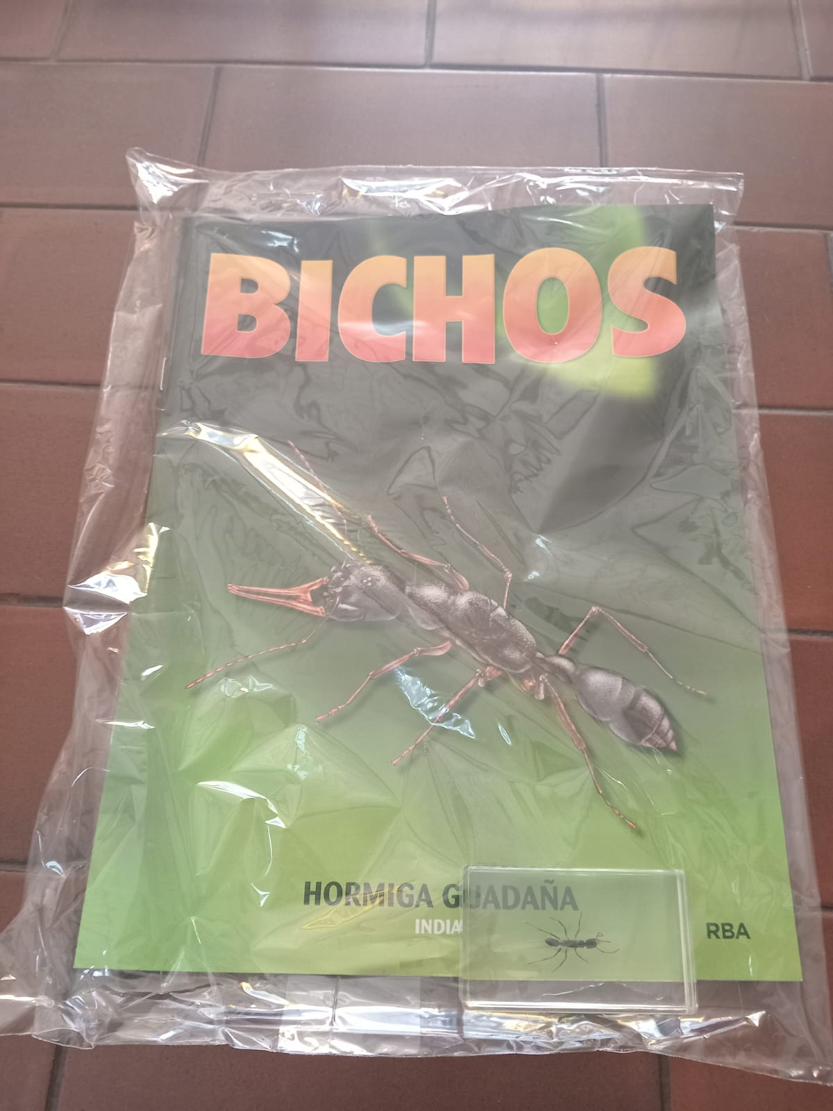 BICHOS 