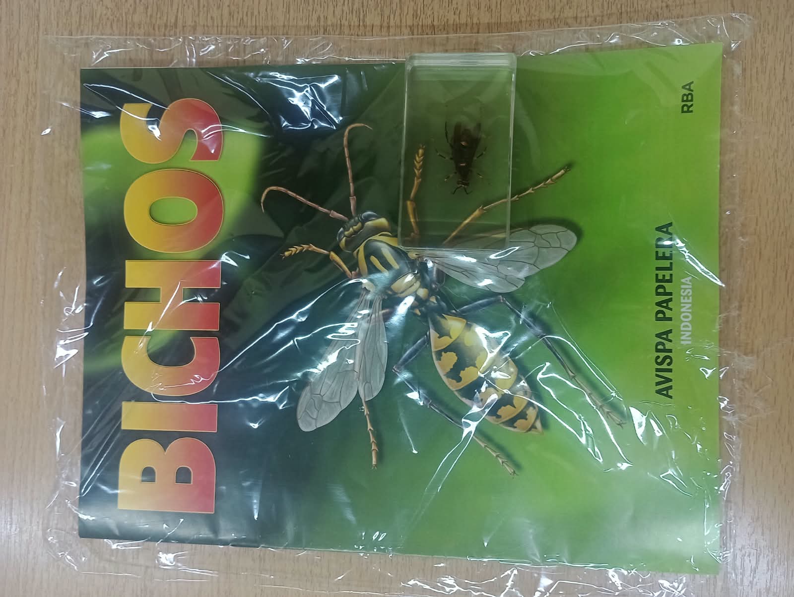 BICHOS 